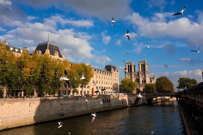 Paris Highlights Private Tour - All Paris in one day ! - Private car or public transport changes the feel
