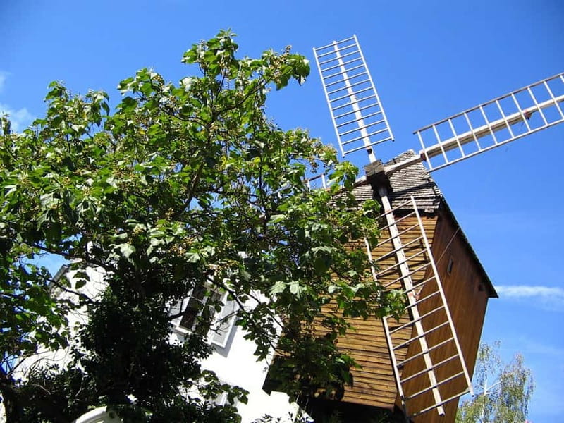 Paris: Montmartre Private Walking Tour - Climbing ancient Rue Lepic through old Montmartre
