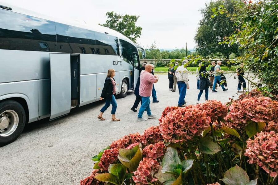 Paris: Normandy D-Day Sites Guided Day Trip with Lunch - Key points to know before you book