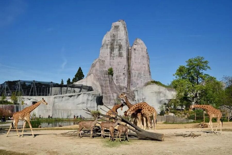 Paris: Paris Zoological Park Entrance Ticket - Key points to know before you go