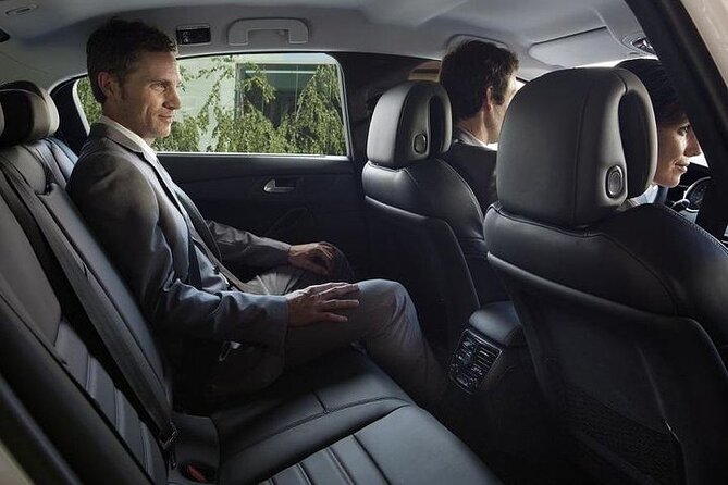 Paris Private Arrival Transfer: Railway Station to Hotel - From platform to car with your luggage