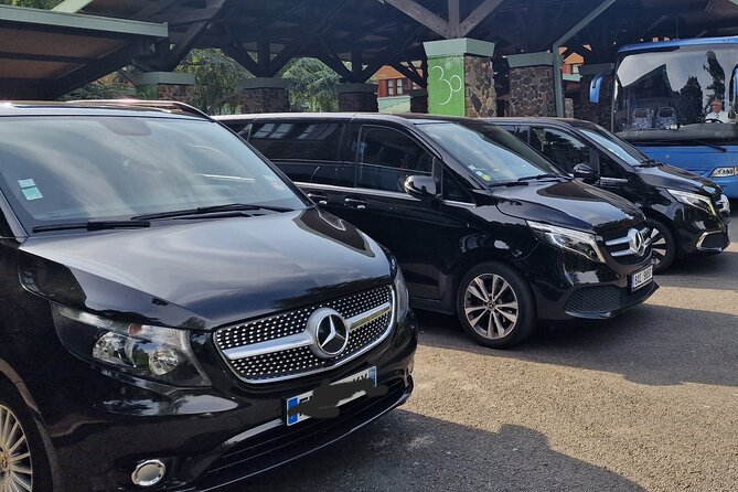 Paris Private City Tour Experience - Drivers praised for personal service