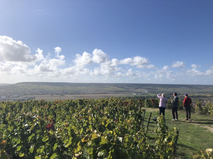 Paris: Private Day Trip to Champagne with 8 Tastings & Lunch - The masterclass, eight pours, and a proper lunch