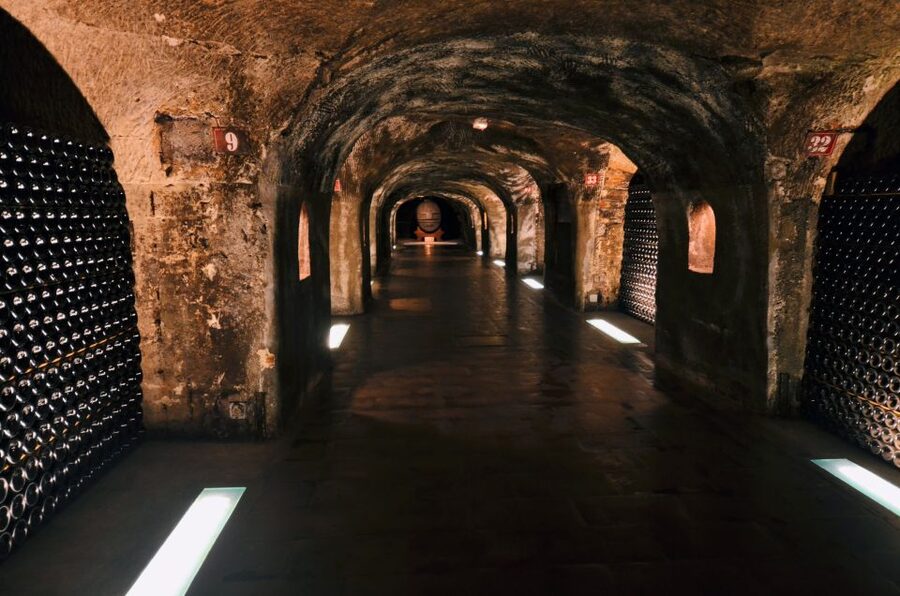 Paris: Private Day Trip to Champagne with 8 Tastings & Lunch - What makes the private guide important