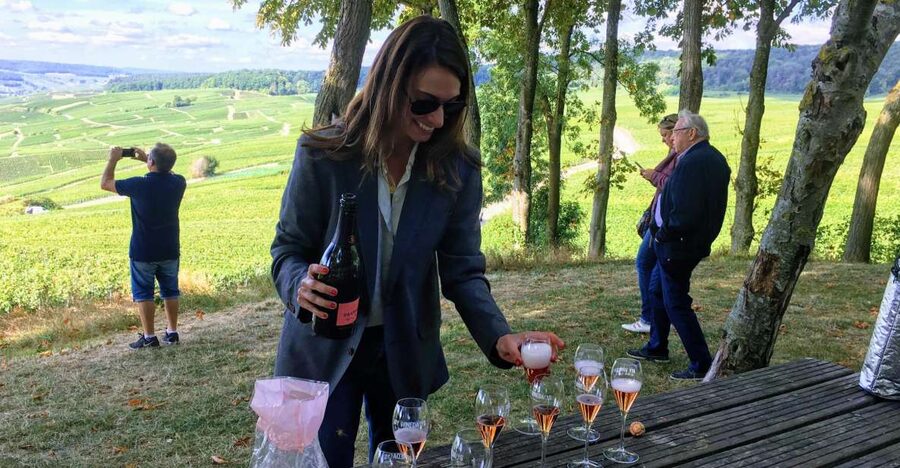 Paris: Private Day Trip to Champagne with 8 Tastings & Lunch - The two-hour ride into Champagne