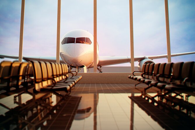 Paris Private Departure Transfer Hotel to CDG or ORLY Airports - Choosing between the sedan and minivan
