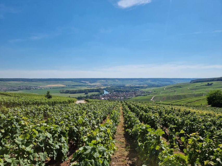 Paris: Private Epernay Trip with Champagne Vineyard Tastings - From Paris to Épernay in Two Hours