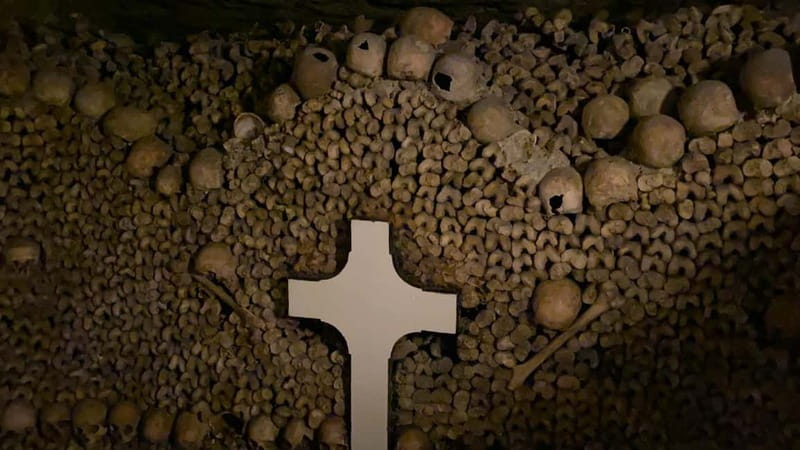 Paris: Small-Group Catacombs Tour with Skip-the-Line Entry - Is $227 a fair price?