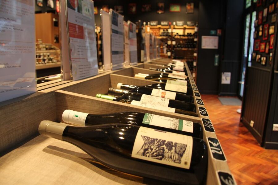 Paris: Wine and Cheese Tasting - Who should book this tasting