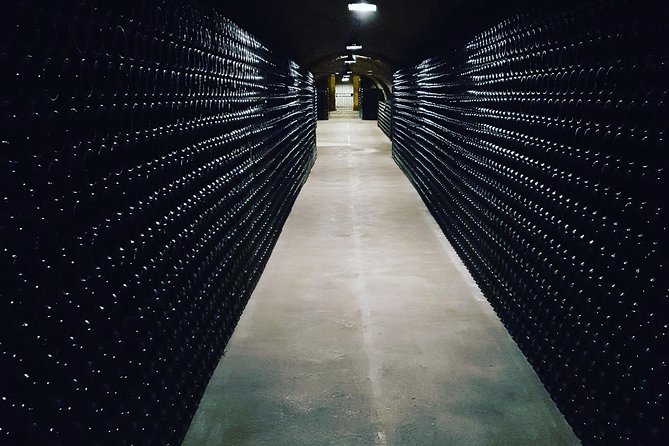 Paris Wine Day Tours exclusive Champagne tour incl. 3 visits - The price, group size, and overall value