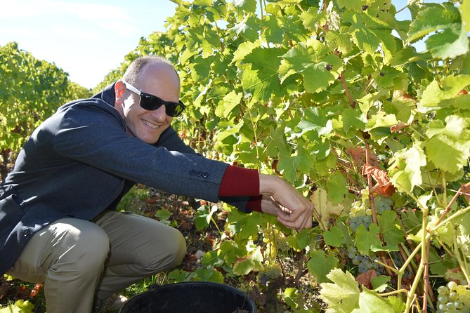 Paris Wine Day Tours exclusive Champagne tour incl. 3 visits - Épernay: a second cellar and the making of Champagne