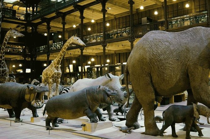 Paris With Kids - A Private Family Experience - The Louvre without the museum fatigue