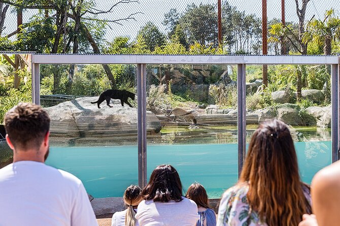 Parrot World Immersive Wildlife Park Entry Ticket next to Paris - Food, picnics, and the useful family extras