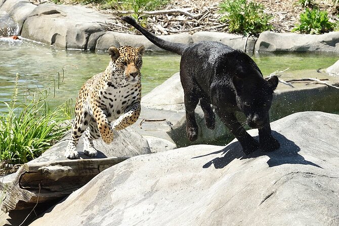 Parrot World Immersive Wildlife Park Entry Ticket next to Paris - Weather and the best time to visit