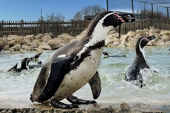 Parrot World Immersive Wildlife Park Entry Ticket next to Paris - Animal viewing and keeper-led learning