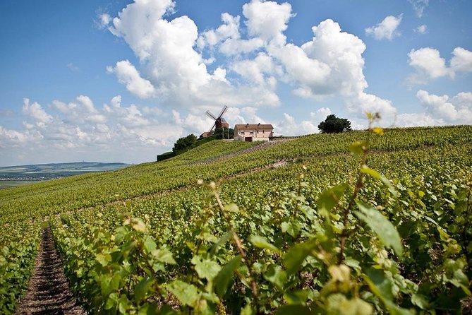Private 10-hour round transfer to Champagne Epernay from Paris. Best offer! - Moët & Chandon, the classic grand-name visit