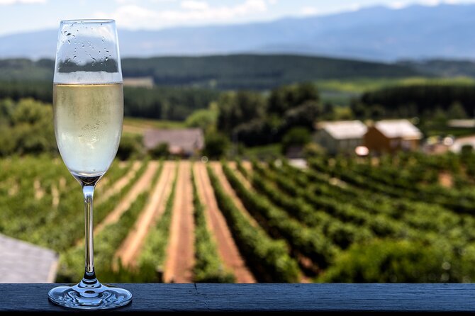 Private Champagne Day Trip - Two Vineyards of Reims & Lunch - Why this Champagne day works from Paris