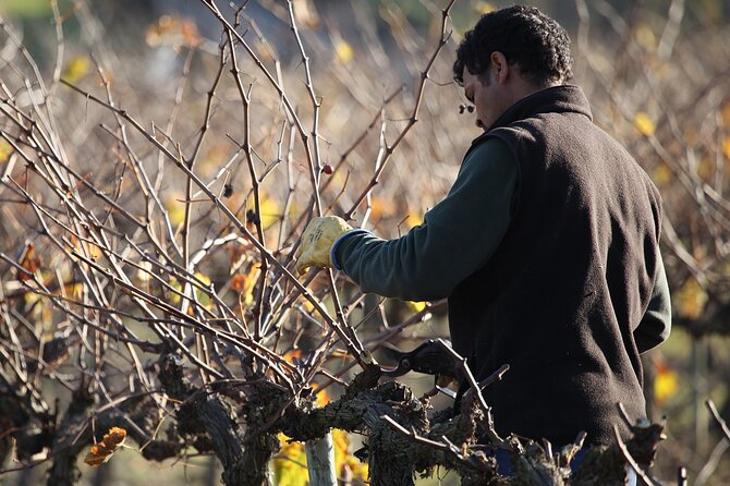 Private Champagne Day Trip - Two Vineyards of Reims & Lunch - What $728.98 per person really covers