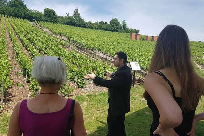 Private day tour in Champagne - Should you book this Champagne day tour?