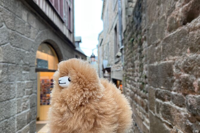 Private Guided Mont Saint Michel & D-day tour from Paris - Is $1,566.22 good value?