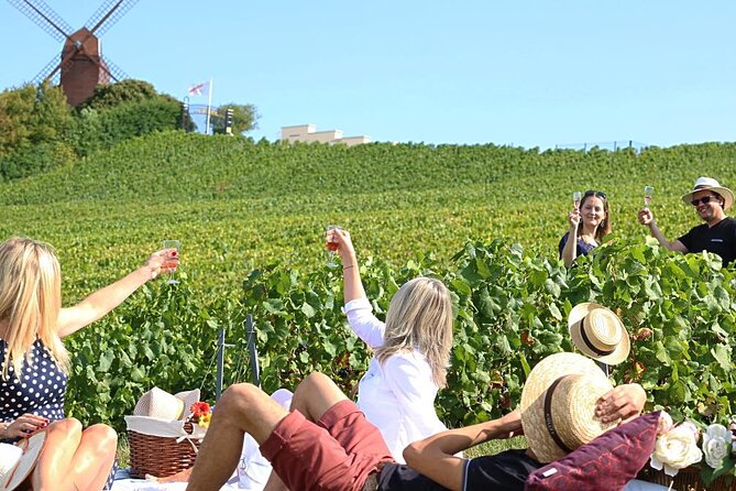 Private Guided Tour in Champagne from Paris with Moet&Chandon visit. - A short walk among the vines