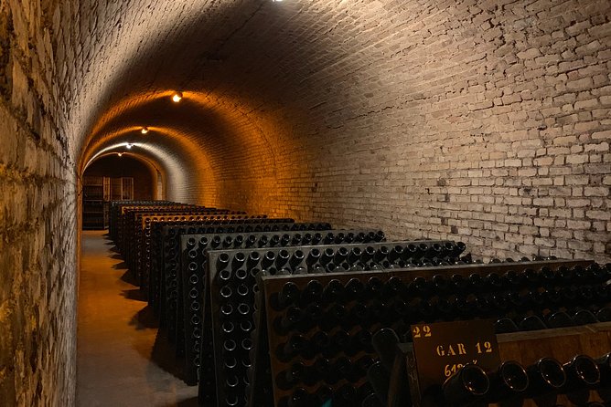 Private Guided Tour in Champagne from Paris with Moet&Chandon visit. - Who should book this Champagne day