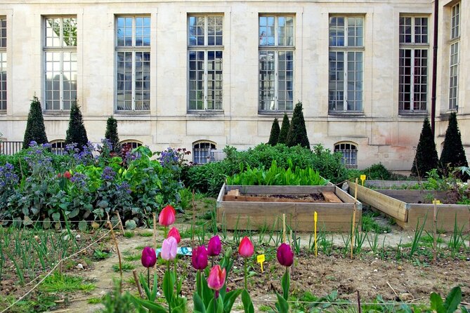 Private Half Day Historic Tour - Hôtel de Ville and the changing face of Paris