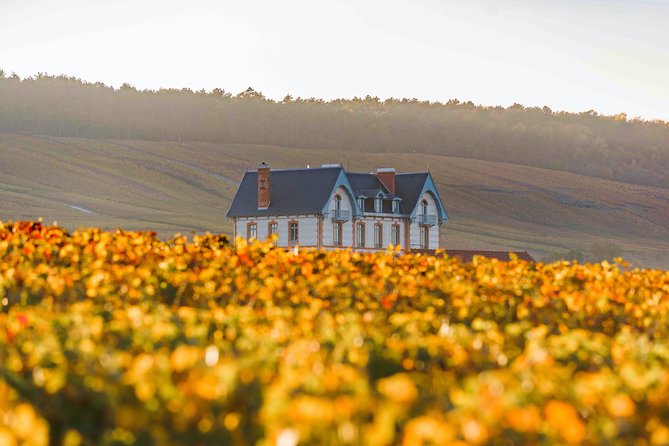 Private tour of the Champagne area, meet local producers and taste their Champagne, start from your hotel in Paris. - From your Paris hotel to the vineyards