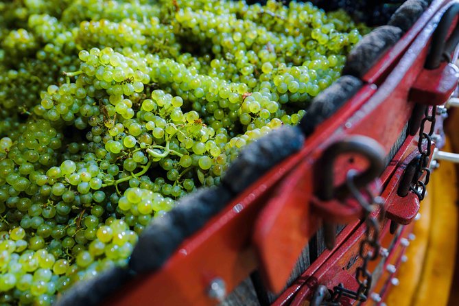 Private tour of the Champagne area, meet local producers and taste their Champagne, start from your hotel in Paris. - Crossing the countryside to Damery