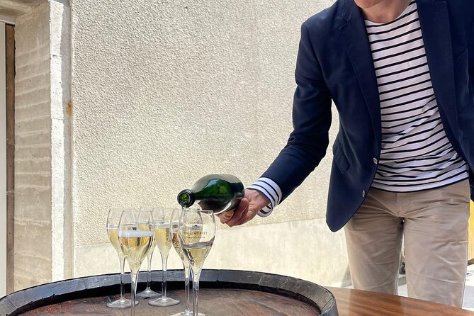 Private tour of the Champagne area, meet local producers and taste their Champagne, start from your hotel in Paris. - Meeting a family Champagne producer in Damery