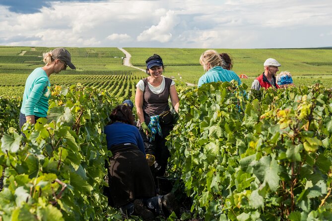 Private tour of the Champagne area, meet local producers and taste their Champagne, start from your hotel in Paris. - What the $1,003 price includes