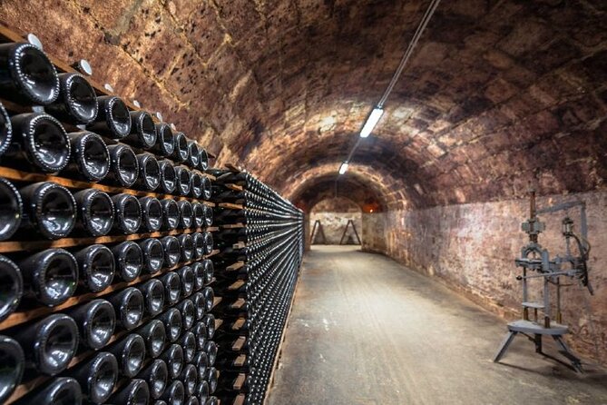 Private tour of the Champagne area, meet local producers and taste their Champagne, start from your hotel in Paris. - Who will enjoy this day most