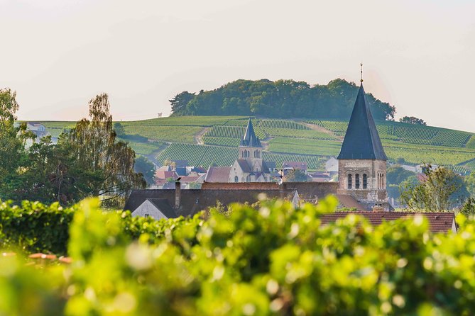 Private tour of the Champagne area, meet local producers and taste their Champagne, start from your hotel in Paris. - Épernay and the grand Champagne cellars