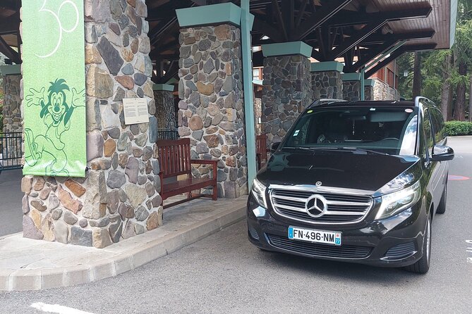 Private transfer from CDG or ORY airport to DisneyLand Paris - Luggage help that makes a difference