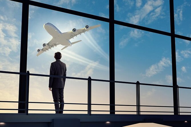 Private Transfer from Charle de Gaulle Airport to Paris - Leaving Charles de Gaulle without the usual airport shuffle