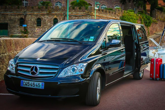 Private Transfer from Paris to Disneyland (One way) - Key points to know before booking