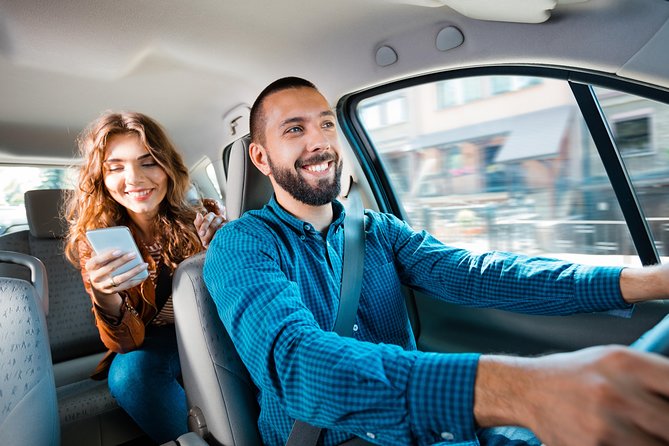 Private Transfer Orly Airport ORY & Disneyland Paris - A personal welcome from the driver