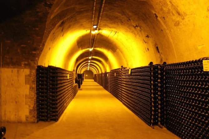 Ruinart champagne special tour - Price, timing, and the value decision