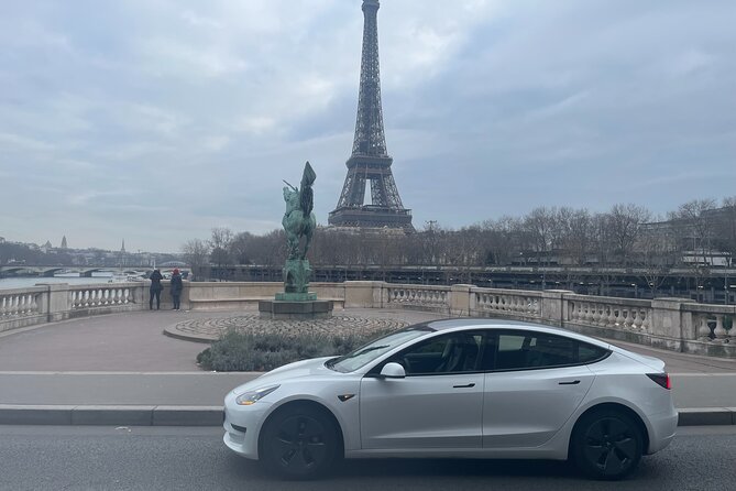 transfer from CDG/ORLY airport to Paris ,multilingual driver - Meeting your driver after customs