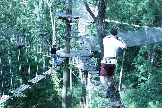 Tree Top Adventure in Rueil-Malmaison - Key points to know before you book