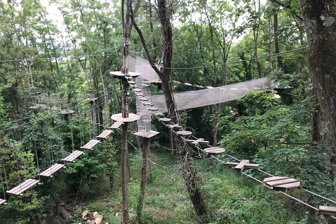 Tree Top Adventure in Rueil-Malmaison - Who will enjoy this most