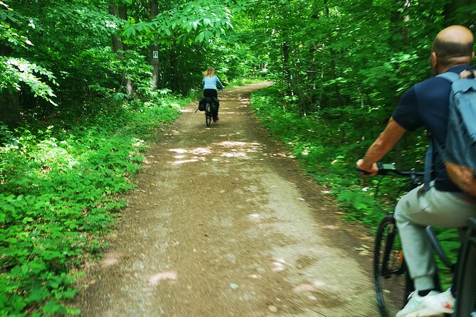 Versailles Full-Day Electric Bike Tour : Market, Picnic & Palace - Picnic beside the Grand Canal