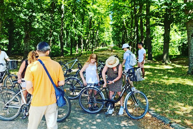 Versailles Golfcart & Bike Guided Tour: Gardens Hamlet Fountains - Is $192.36 good value?