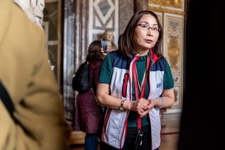 Versailles: Private Tour of the Palace with Reserved Entry - Who should book this Versailles tour