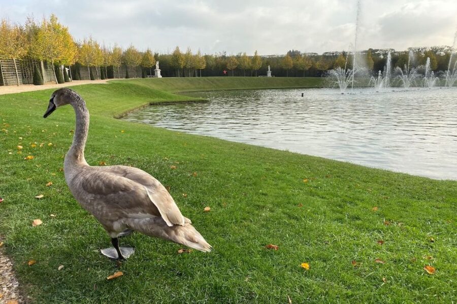 Versailles: Royal Palace & Gardens Private Golf Cart Tour - FAQ