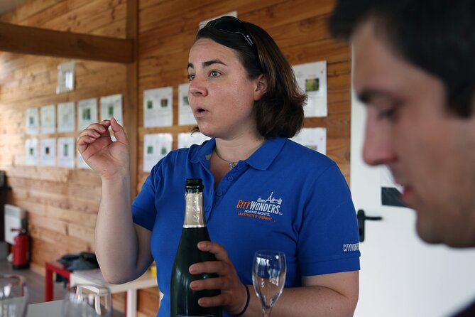 VIP Champagne Region Day Trip with 7 Tastings & Lunch from Paris - Why a day in Champagne earns its place in your Paris plans