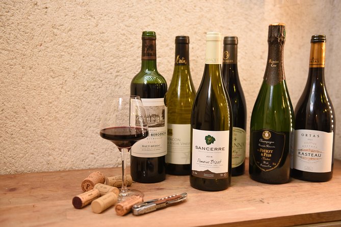 Wine Tasting In Paris - Tasting technique without the fuss