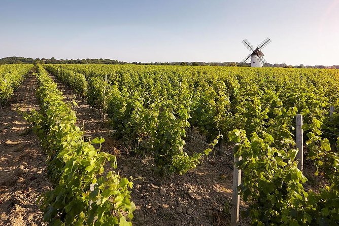 Wine tasting tour in Loire Valley with castle visits and lunch - A three-course lunch with a taste of the region