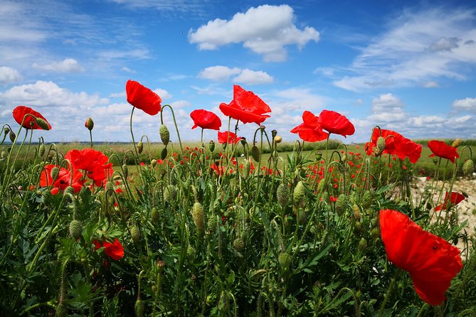 WW1 Australians in the Somme -Villers Bretonneux, Le Hamel - Day trip from Paris - Is $300.06 fair value?