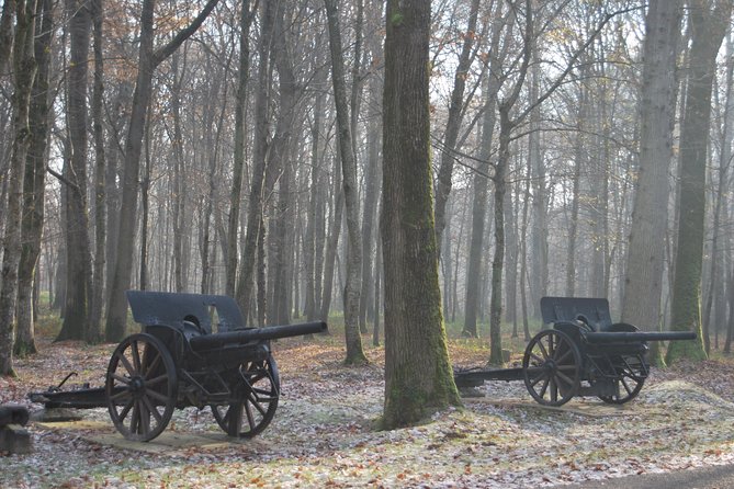 WWI Belleau Wood & Meaux Museum of the Great War Private Day Trip from Paris - Museum of the Great War in Meaux
